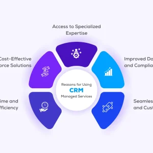 Salesforce Managed Services